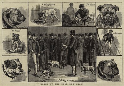 Notes at the Bull Dog Show by S.T. Dadd